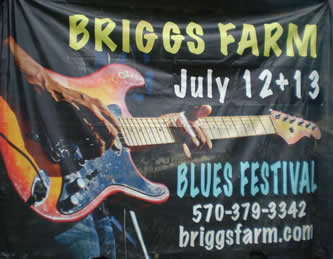 Briggs Banner