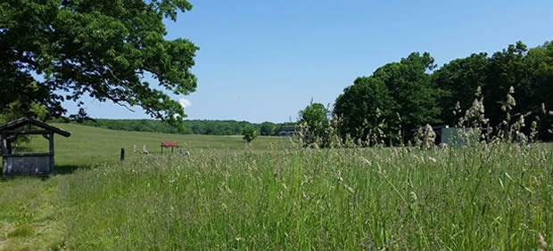 Brigg's Farm